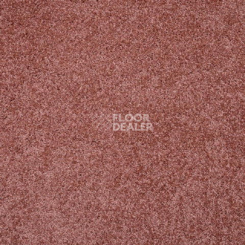 Ковролин Tarkett Capri Capri 27583 фото 1 | FLOORDEALER