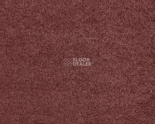 Ковролин Lano Lounge 312 Rust 2 фото 1 | FLOORDEALER