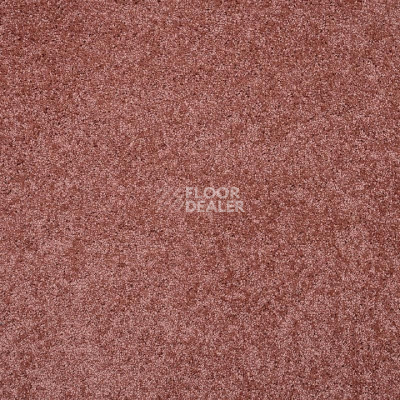 Ковролин Tarkett Capri Capri 27583 фото 1 | FLOORDEALER