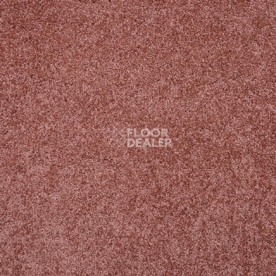 Ковролин Tarkett Capri Capri 27583 фото 1 | FLOORDEALER