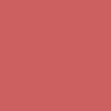 Линолеум Tarkett Omnisports R83 TH_CORAL фото 1 | FLOORDEALER