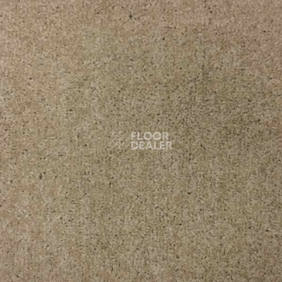 Ковролин Betap Gerona 60 фото 1 | FLOORDEALER