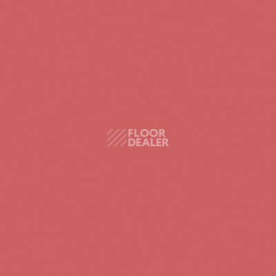 Линолеум Tarkett Omnisports R83 TH_CORAL фото 1 | FLOORDEALER