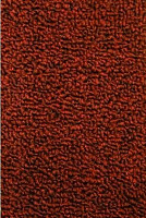 Ковролин Нева Тафт Астра 37 фото 1 | FLOORDEALER