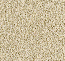 Ковролин Balsan Sublime 610 фото 1 | FLOORDEALER