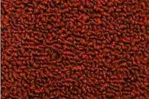 Ковролин Нева Тафт Астра 37 фото  | FLOORDEALER