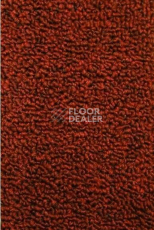 Ковролин Нева Тафт Астра 37 фото 1 | FLOORDEALER