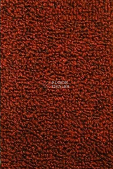 Ковролин Нева Тафт Астра 37 фото 1 | FLOORDEALER