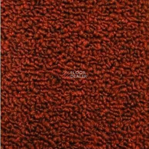 Ковролин Нева Тафт Астра 37 фото 1 | FLOORDEALER