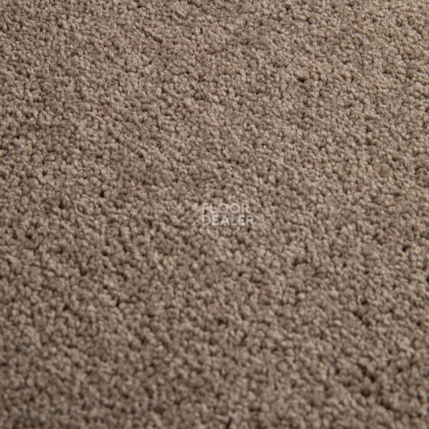 Haima Noble 99 фото 6 | FLOORDEALER