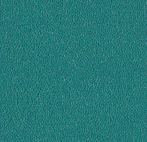 Westbond Ibond зеленая гамма 9613 фото 1 | FLOORDEALER