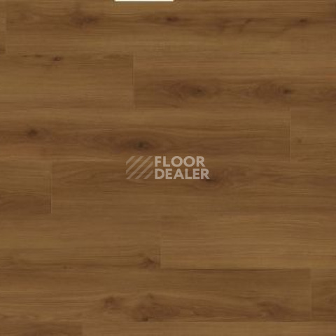 Ламинат Haro Tritty 200 Aqua 4V ДУБ ЭМИЛИЯ ЯНТАРНЫЙ 540241 фото 1 | FLOORDEALER