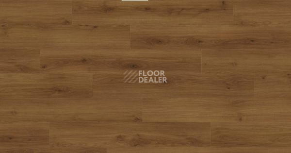 Ламинат Haro Tritty 200 Aqua 4V ДУБ ЭМИЛИЯ ЯНТАРНЫЙ 540241 фото 1 | FLOORDEALER