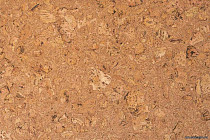 Natural Cork Rombo New фото 2 | FLOORDEALER