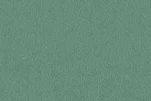 Линолеум Graboplast Stamina 7483_00_273 фото  | FLOORDEALER