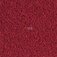 Balsan Bolero 560 фото 1 | FLOORDEALER