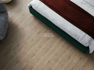 Norland Sigrid Superior 8мм Flosi 1008-8 ABA фото 2 | FLOORDEALER
