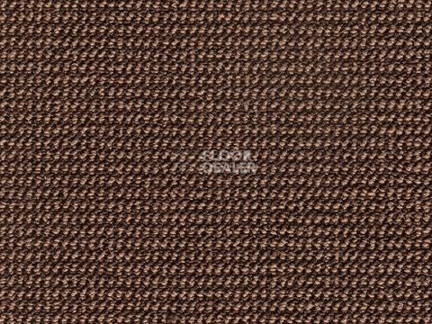 Ковролин e-check 44 фото 1 | FLOORDEALER