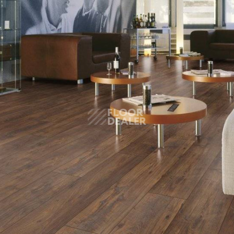 My Floor Chalet 10мм m1005 Каштан фото 10 | FLOORDEALER