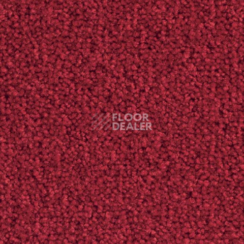 Ковровая плитка Balsan Bolero 560 фото 1 | FLOORDEALER