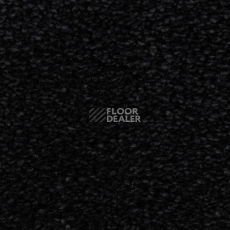 Ковролин Edel Wild Romance 199 фото 1 | FLOORDEALER