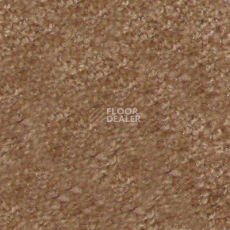 Ковролин Hidden Treasure Beaulie of America Bark 15 фото 1 | FLOORDEALER