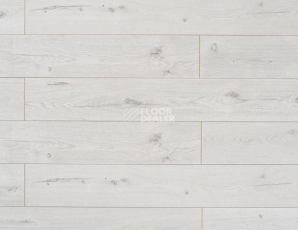 Ламинат My Step Terra Aqua Block MS198AB Дуб Латина фото 1 | FLOORDEALER