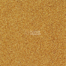 Ковровая плитка Desso Torso 6102 фото 1 | FLOORDEALER