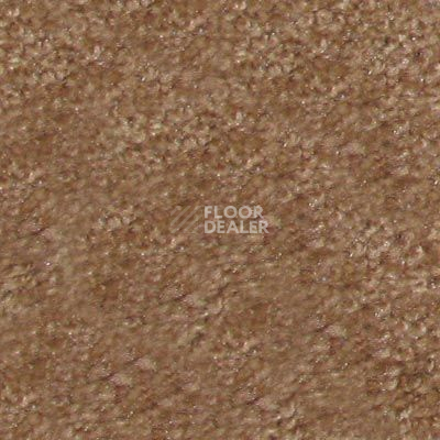Ковролин Hidden Treasure Beaulie of America Bark 15 фото 1 | FLOORDEALER