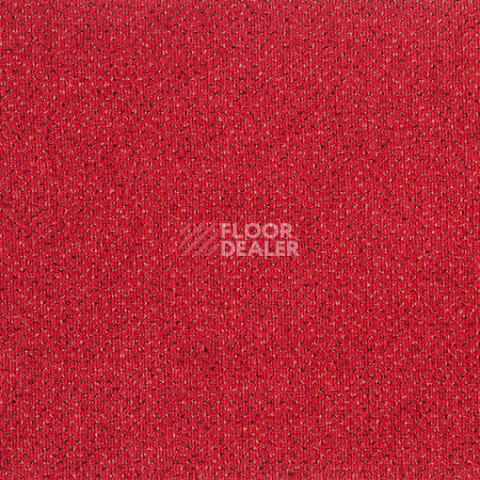 Ковролин Balta ITC Apollo 78 фото 1 | FLOORDEALER