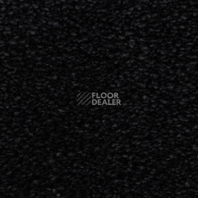 Ковролин Edel Wild Romance 199 фото 1 | FLOORDEALER