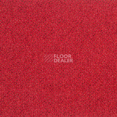 Ковролин Balta ITC Apollo 78 фото 1 | FLOORDEALER
