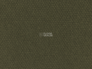 Lano Carve Classic 593 Moss 3 фото 1 | FLOORDEALER