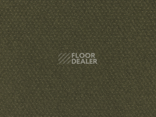 Ковролин Lano Carve Classic 593 Moss 3 фото 1 | FLOORDEALER