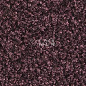 Ковролин Balsan Les Must Les Must 880 фото 1 | FLOORDEALER