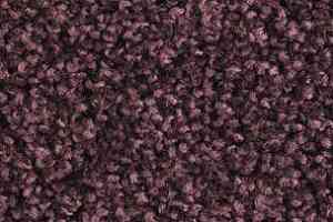 Ковролин Balsan Les Must Les Must 880 фото  | FLOORDEALER