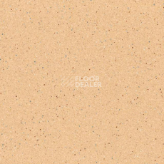 Линолеум Tarkett Zenit 702 фото 1 | FLOORDEALER