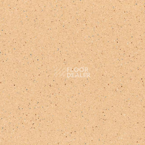Линолеум Tarkett Zenit 702 фото 1 | FLOORDEALER