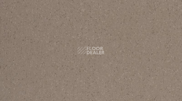 Кварцвиниловые полы GTI Max Cleantech 600 x 600 0261_Scirocco фото 1 | FLOORDEALER