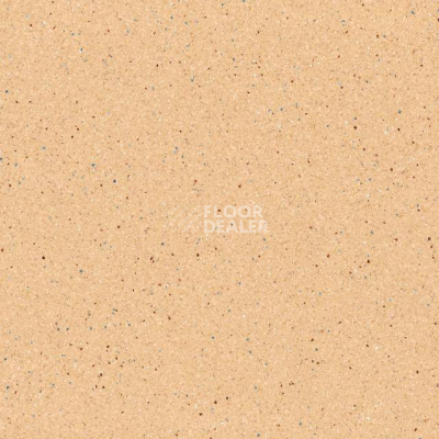 Линолеум Tarkett Zenit 702 фото 1 | FLOORDEALER