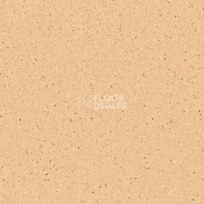 Линолеум Tarkett Zenit 702 фото 1 | FLOORDEALER