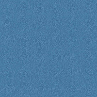 Линолеум Grabo Silver Knight Fitness 6170_00_279 фото 1 | FLOORDEALER