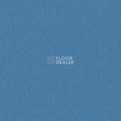 Линолеум Grabo Silver Knight Fitness 6170_00_279 фото 1 | FLOORDEALER