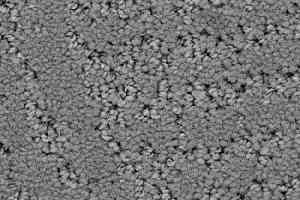 Ковролин Balsan Courchevel 920 фото  | FLOORDEALER