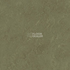 Линолеум Marmorette DLW 2.5mm 0138 Khaki фото 1 | FLOORDEALER