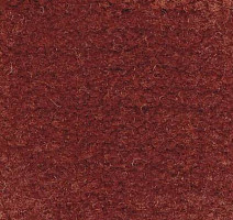 Ковролин Emphatic Beaulieu of America 56708 фото 1 | FLOORDEALER