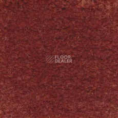 Ковролин Emphatic Beaulieu of America 56708 фото 1 | FLOORDEALER