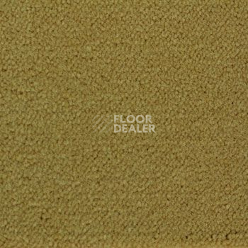 Ковролин Associated Weavers Continental 29 фото 1 | FLOORDEALER