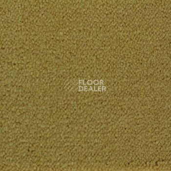 Ковролин Associated Weavers Continental 29 фото 1 | FLOORDEALER