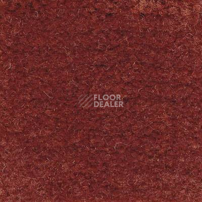 Ковролин Emphatic Beaulieu of America 56708 фото 1 | FLOORDEALER